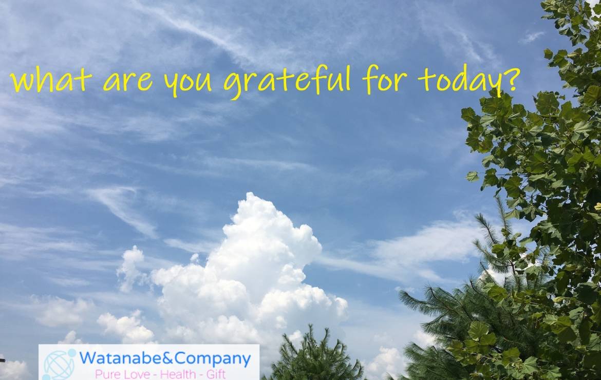 what are you grateful for today?