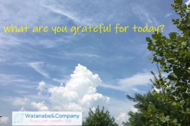 what are you grateful for today?