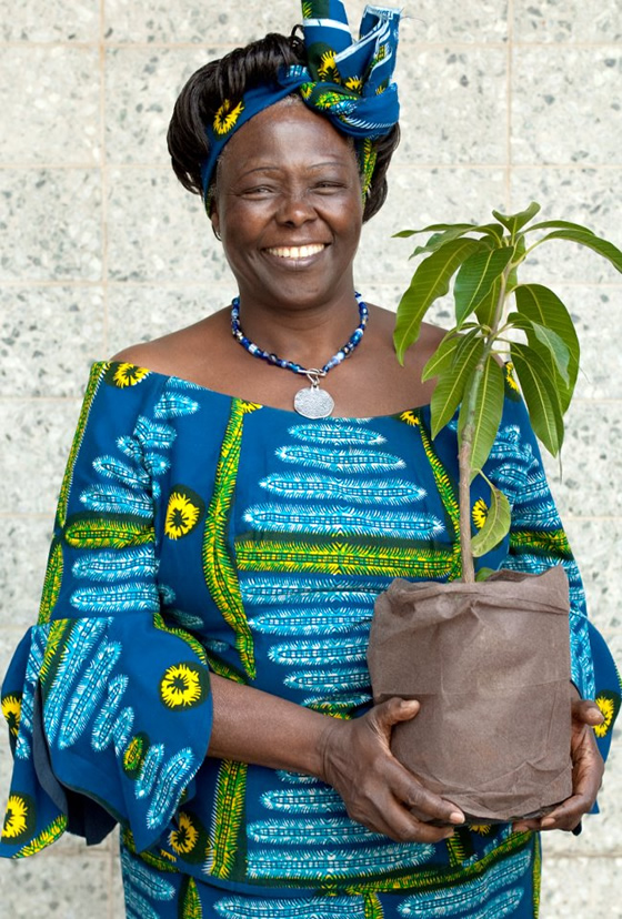 Wangari-Muta-Maathai.jpg