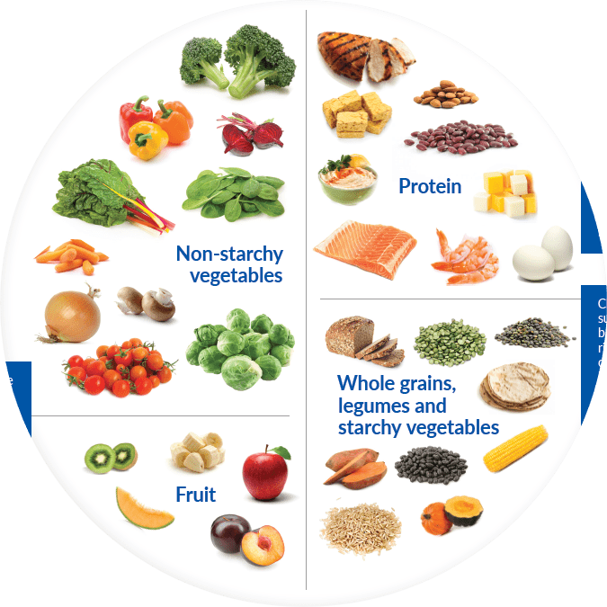 pregnancy-plate-modified.png