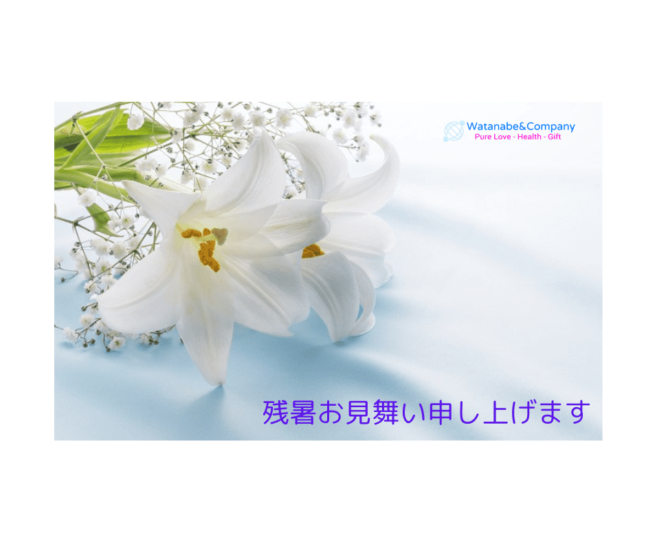 Information on summer greetings and career support