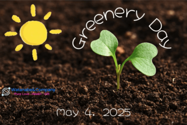 みどりの日　2025年5月4日