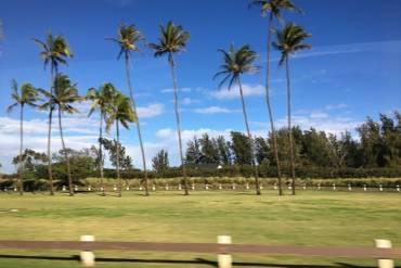 Rainbow in Maui