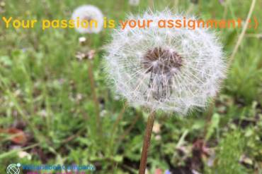 What is your passion?