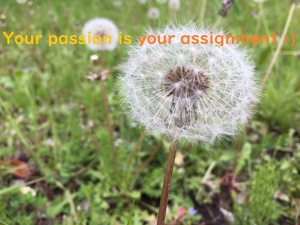 Your-passion-is-your-assignment-size.jpg