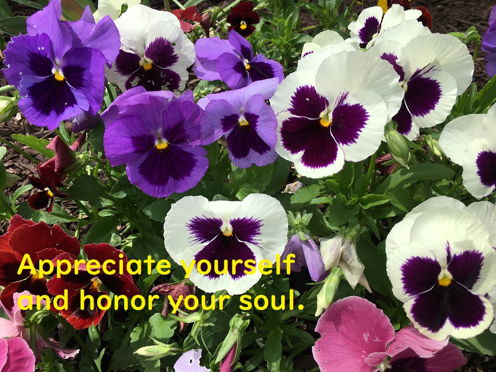 appreciate-yourself-and-honor-your-soul.jpg